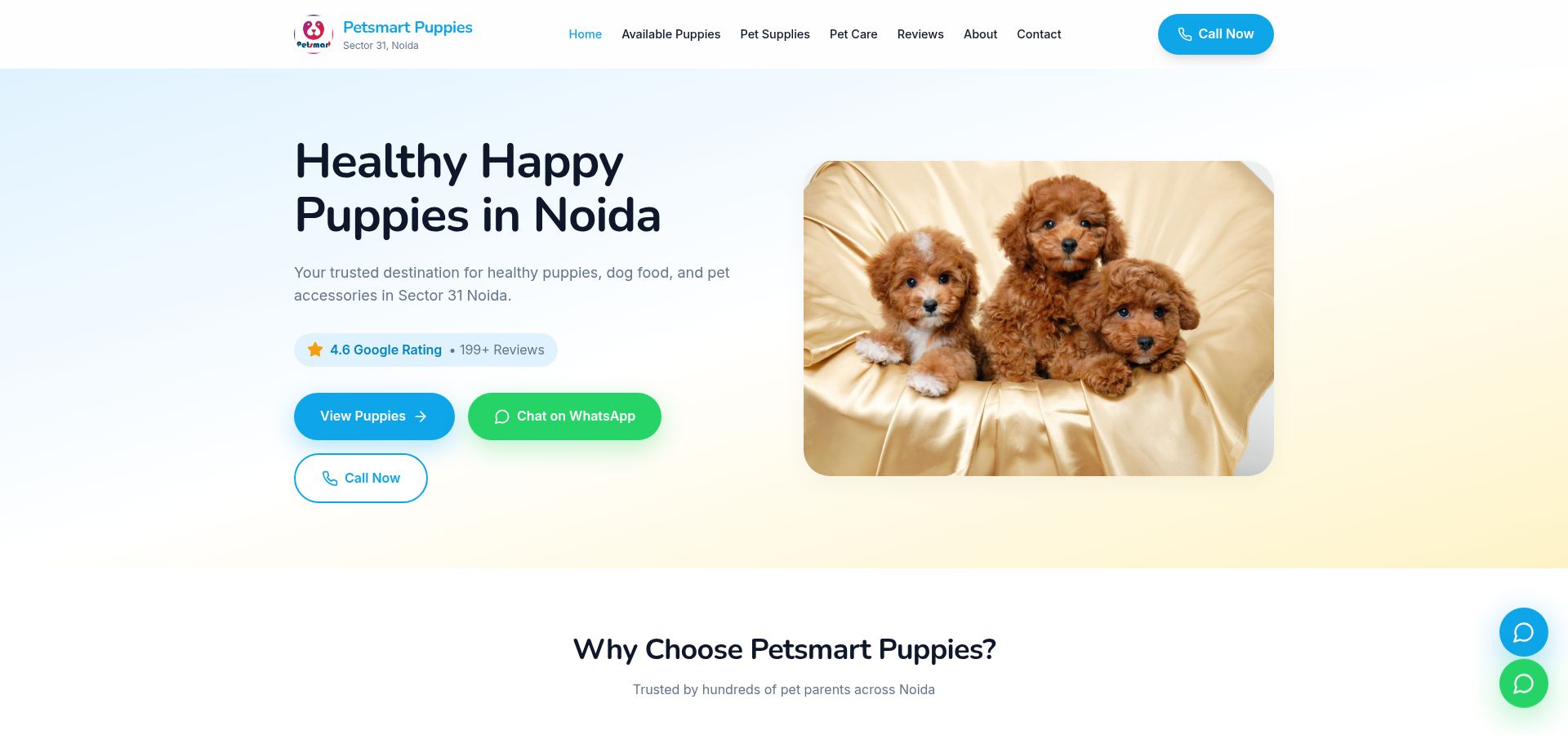 Petsmart Puppies — Pet Store & Supplies website project